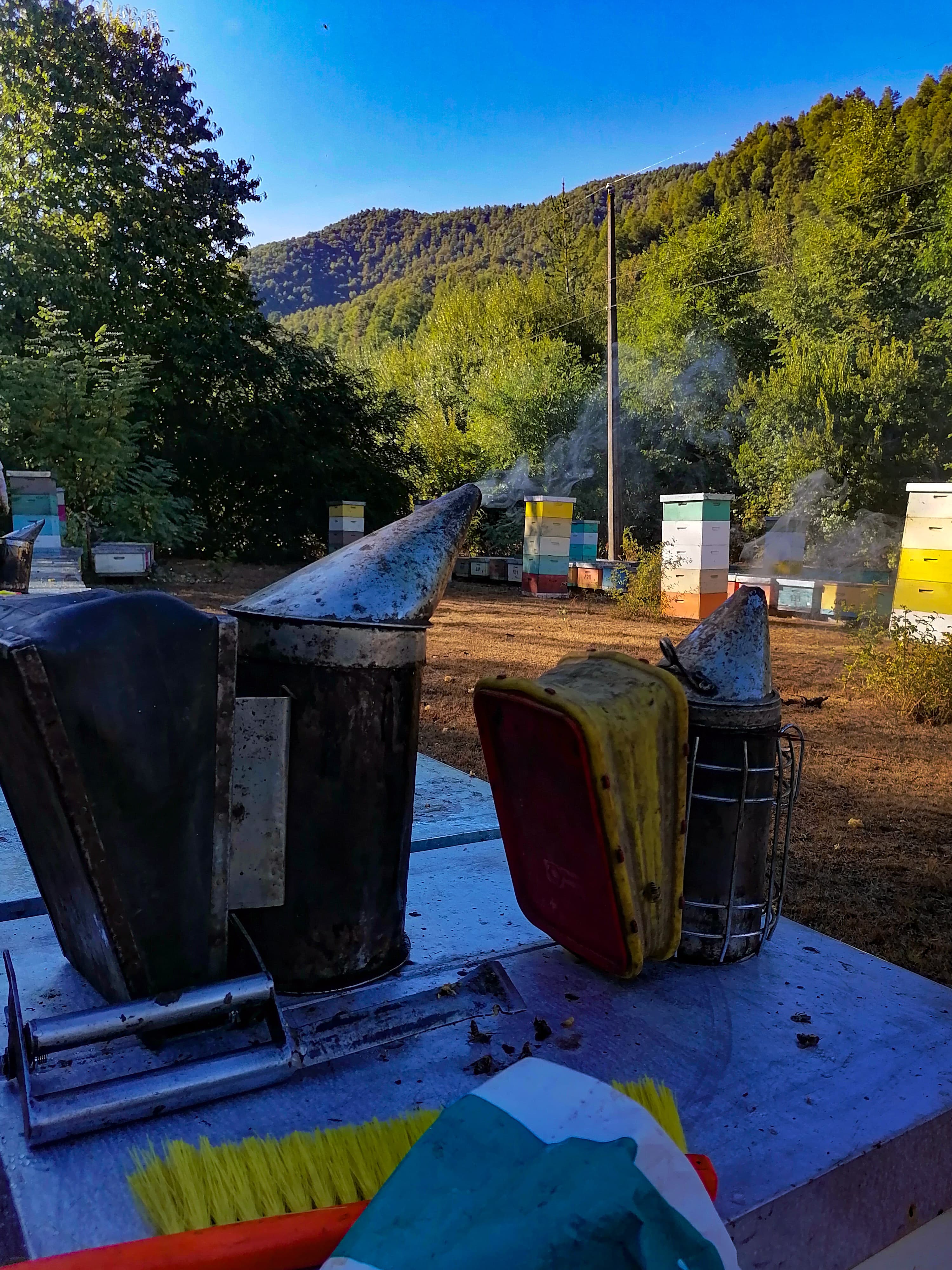 Imagen de Galería Apimiel